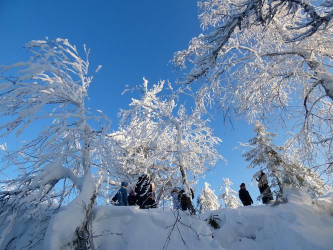 Автобус| Новогоднее путешествие в Русь глубинную: в атмосфере уюта, традиций и снега