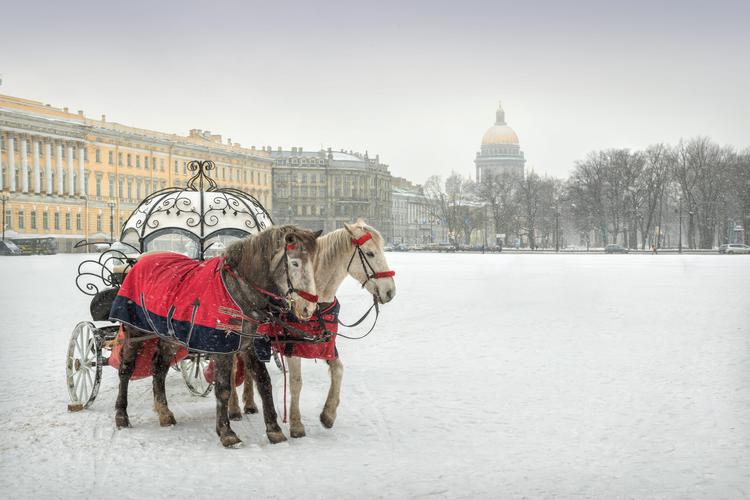 Петербург мечты: большое приключение