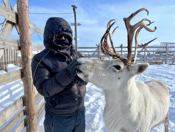 Арктическая пятёрка: от Лапландии до Мурманска