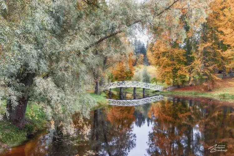 Автобус| В Екатеринбург!