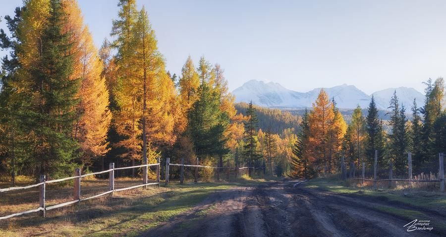 Автобус| Каракольская долина