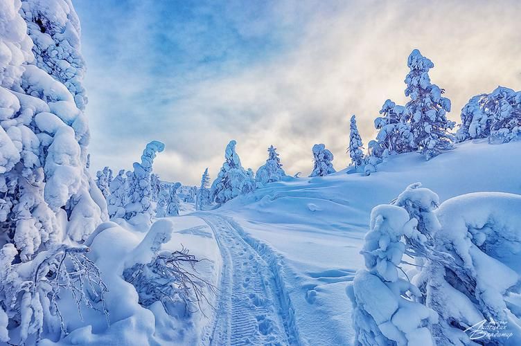 Северное кружево Вологды