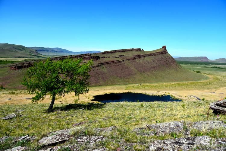 Сквозь пламя и пепел