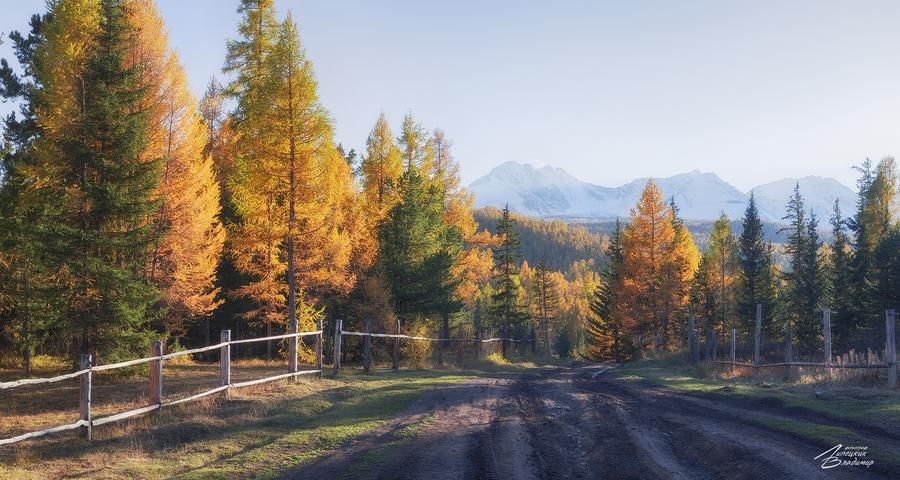 Удивительные места Алтая 8 дней (промо)