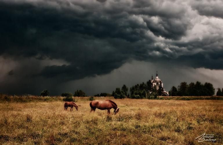 В гостях у тишины, что знает всё