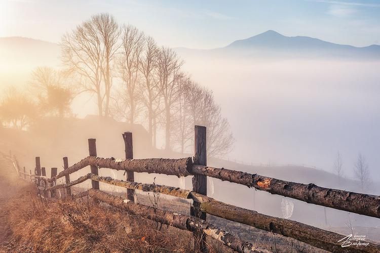 Автобус| На праздник Божоле: в гости к винодельческой традиции