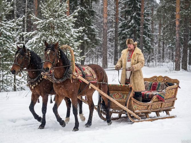 Путь сквозь снежные леса Краки