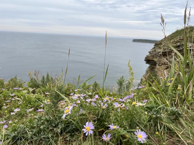 Маяки Приморья: Владивосток и побережье