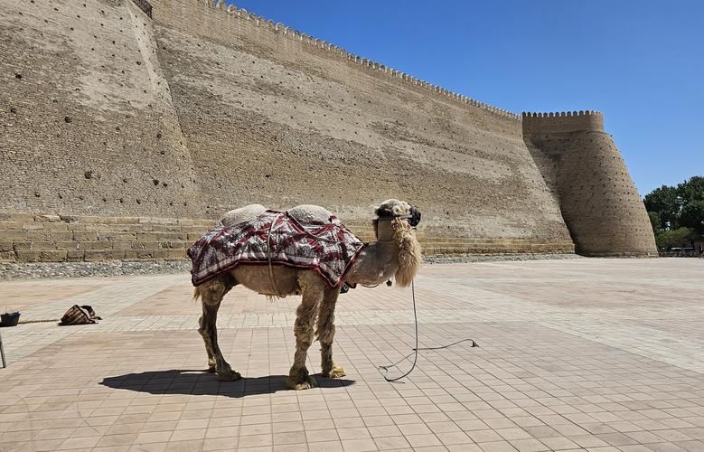 Узбекистан в огнях Рождества