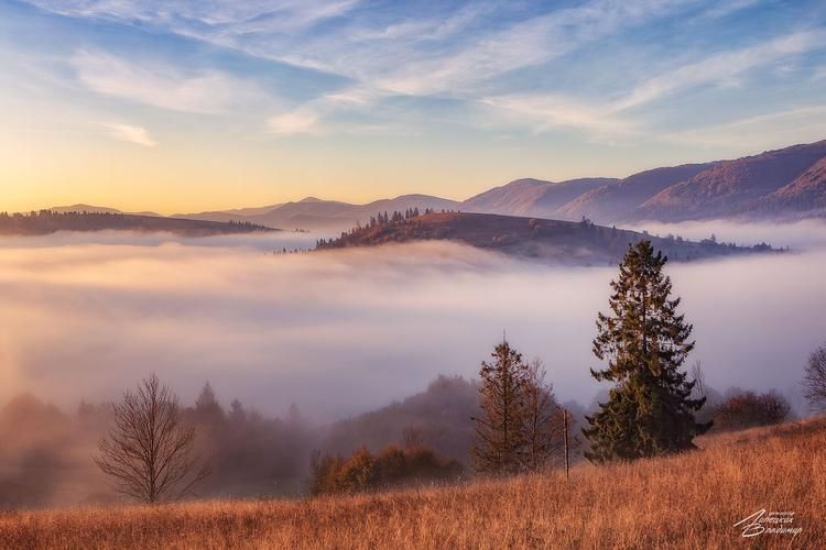 Цвета весны: странствие по Алтаю