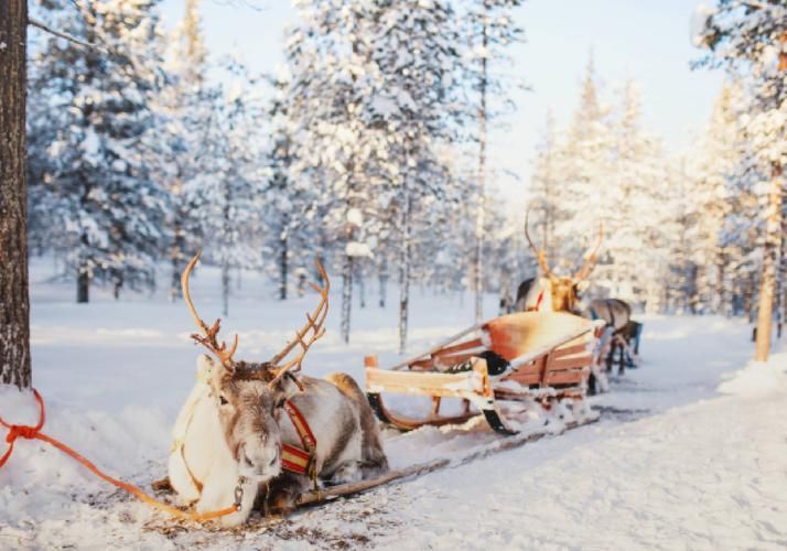 Где Дед Халла шепчет желания