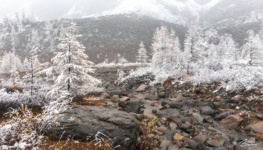 Белоснежные короны Алтая